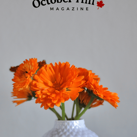 October Hill Magazine OHM Summer 2023 cover