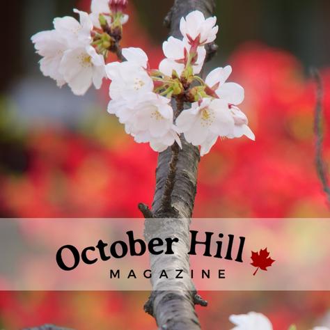 October Hill Magazine OHM Spring 2020 cover